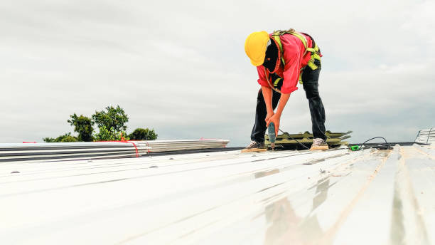 Best Storm Damage Roof Repair  in Hamshire, TX